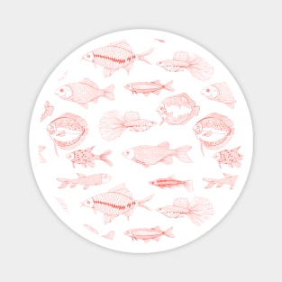 Fishes Magnet